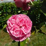 Bed and Breakfast La Cle Des Sens Couvin