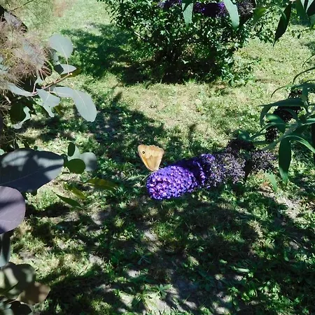 Bed & Breakfast La Cle Des Sens