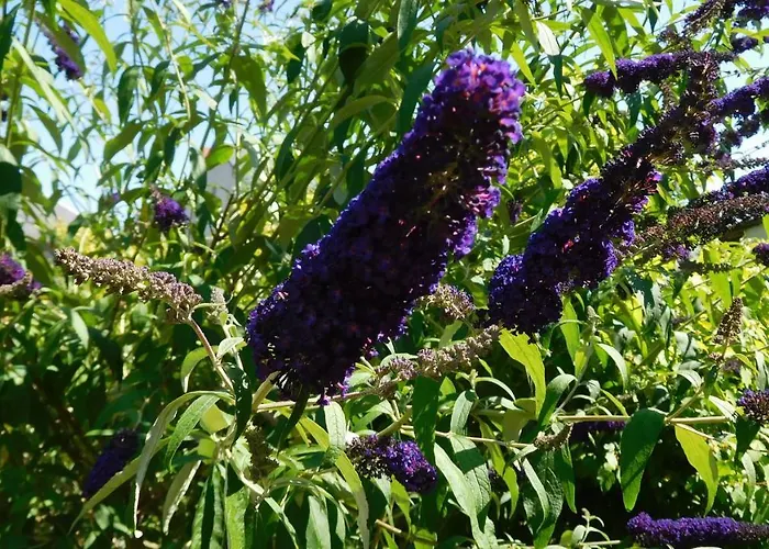 La Cle Des Sens 库万