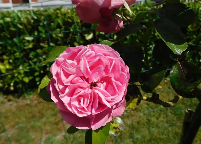 住宿加早餐酒店 La Cle Des Sens 库万