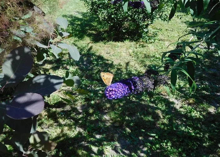 住宿加早餐酒店 La Cle Des Sens